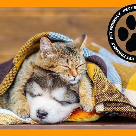 شقة Cozy For Bookworms - Laundry - King Bed - Parking سالت ليك سيتي المظهر الخارجي الصورة